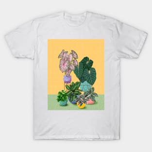 Colourful House Plants 4 T-Shirt